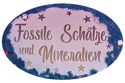 Logo von Fossile Schätze und Mineralien